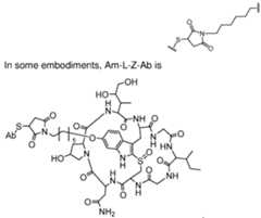 Figure imgf000078_0002