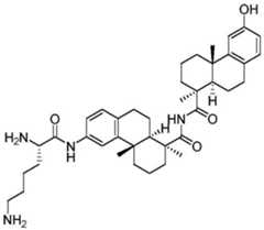 Figure BDA0002889616220003071