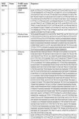 Figure imgf000096_0001