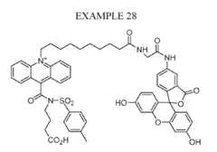 Figure imgf000081_0001