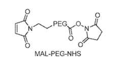 Figure imgf000034_0002