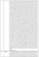 Figure 2022545625000011