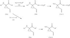 Figure US09623022-20170418-C00045