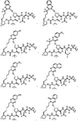 Figure imgf000006_0001