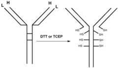 Figure imgf000233_0001