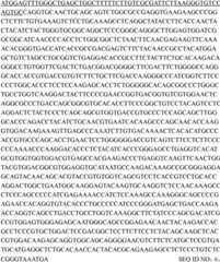 Figure GPA0000255740330000172