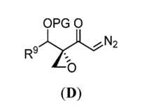 Figure imgf000298_0003