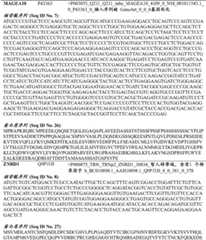 Figure BDA0003206688030000281