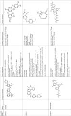 Figure imgf000055_0001