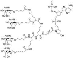 Figure imgf000190_0001