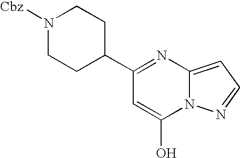 Figure US07119200-20061010-C00557