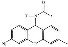Figure imgf000031_0001