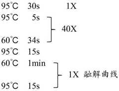 Figure BDA0002275238620000141