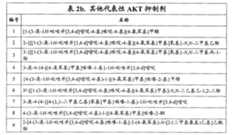 Figure G2007800513551D01832