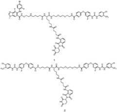 Figure BDA0002642358900000431