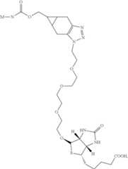 Figure US12025613-20240702-C00057