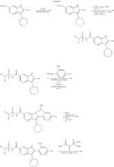 Figure US08124601-20120228-C00006