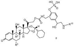 Figure imgf000006_0002