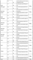 Figure BDA0003061447040000301