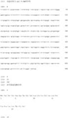 Figure IDA0000137962460000061