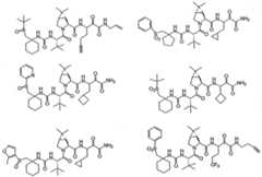 Figure imgf000301_0003