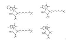 Figure 2022507058000012