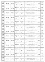 Figure 0007646616000209