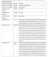 Figure imgf000013_0001