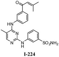 Figure BDA0001453135130002943