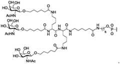 Figure BDA0003018192690001651