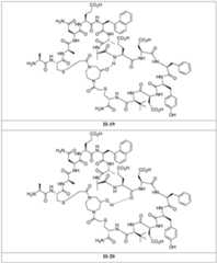 Figure imgf000167_0001