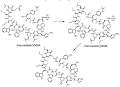 Figure imgf000071_0001
