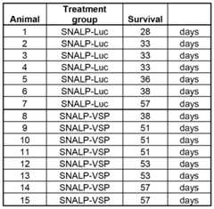 Figure imgf000135_0002