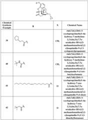 Figure imgf000029_0001