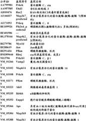 Figure BDA0000057170160002192