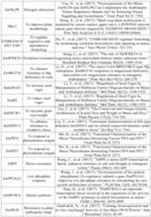 Figure PCTCN2022090268-appb-000044