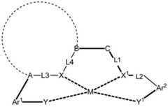 Figure DDA0001454923500000011