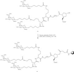 Figure US10793862-20201006-C00160