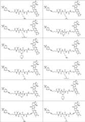 Figure PCTCN2022073822-appb-100174