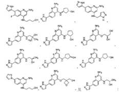 Figure 107124243-A0305-02-0342-14