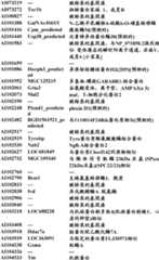 Figure BDA0000057170160000881