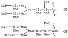 Figure imgf000008_0001