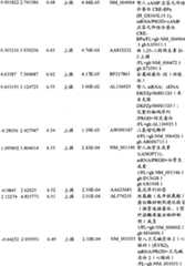 Figure BPA00001280678300711