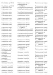 Figure imgf000284_0001