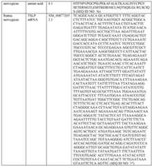 Figure imgf000017_0001