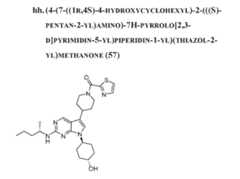 Figure imgf000223_0001