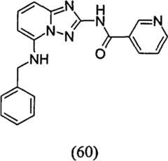 Figure GPA00001035513100901