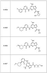Figure imgf000302_0001