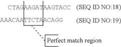 Figure US06458530-20021001-C00002