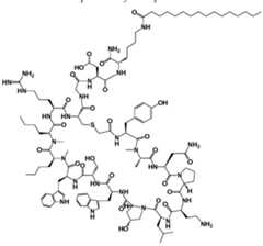 Figure imgf000177_0001